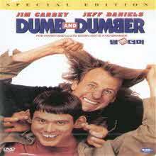 [DVD] Dumb And Dumber -    (̰)