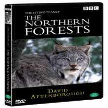 [DVD] The Living Planet : The Northern Forests BBC - ִ    (̰)