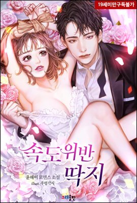 속도위반 딱지