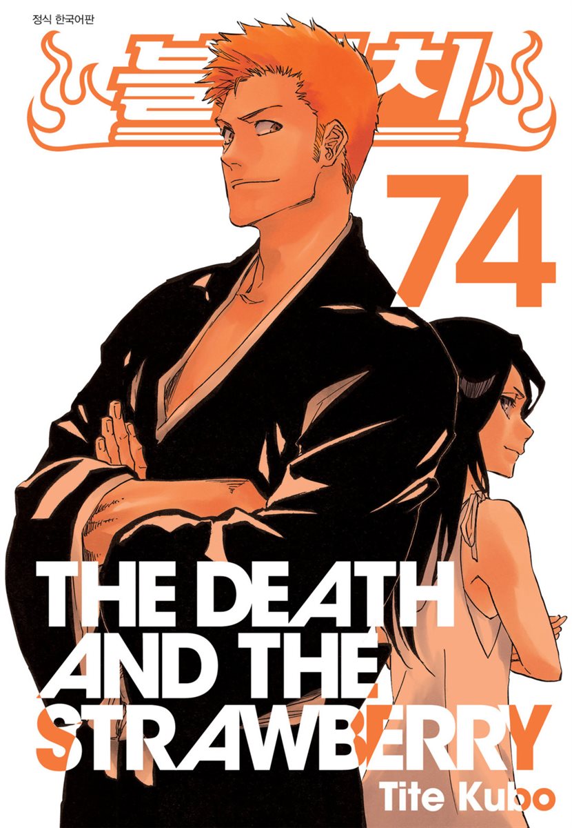 블리치 74 (완결)