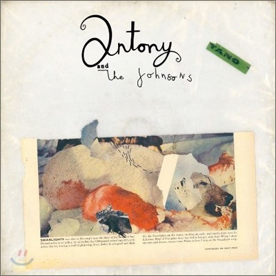 Antony And The Johnsons (   ) - Swanlights [LP]