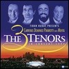  ׳ ̱    ܼƮ - Jose Carreras  / Luciano Pavarotti / Placido Domingo (The 3 Three Tenors in Concert 1994) [2 LP]