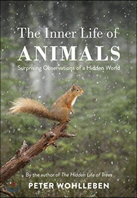 Inner Life of Animals