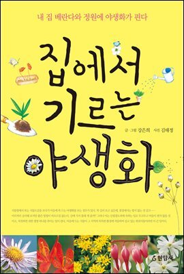 집에서 기르는 야생화