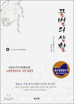 꿀벌의 생활