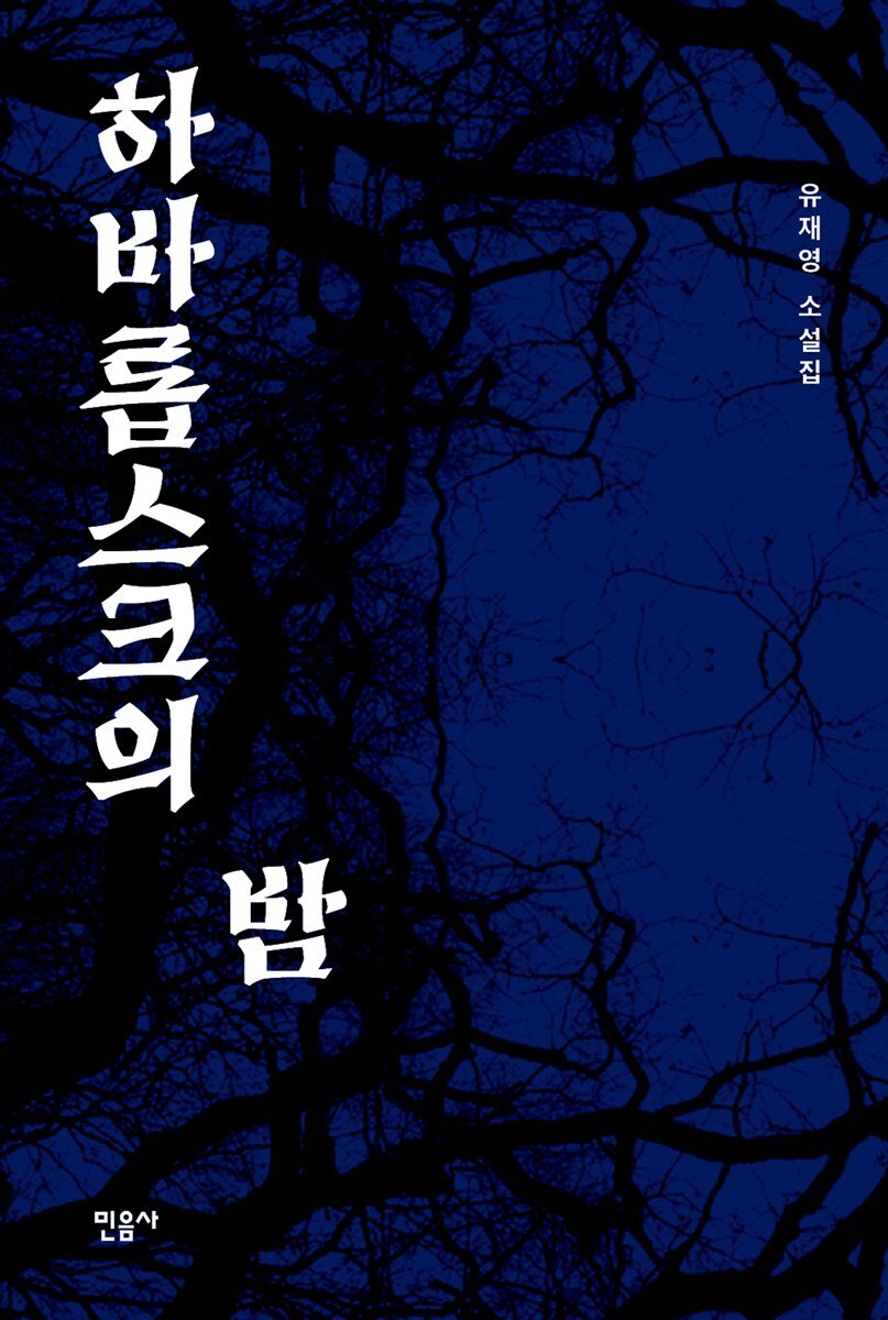 하바롭스크의 밤