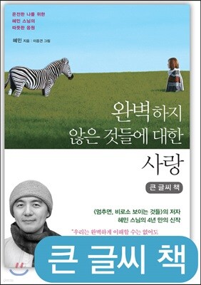 완벽하지 않은 것들에 대한 사랑 (큰글씨책)