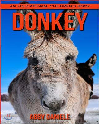 Donkey! An Educational Children's Book about Donkey with Fun Facts & Photos