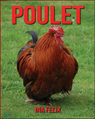 Poulet: Le Livre Des Informations Amusantes Pour Enfant & Incroyables Photos d'Animaux Sauvages - Le Merveilleux Livre Des Pou