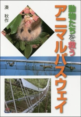 動物たちを救うアニマルパスウェイ