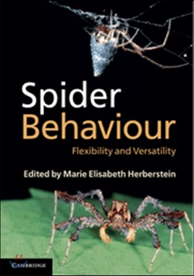 Spider Behaviour