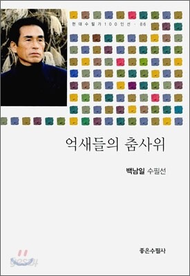 억새들의 춤사위