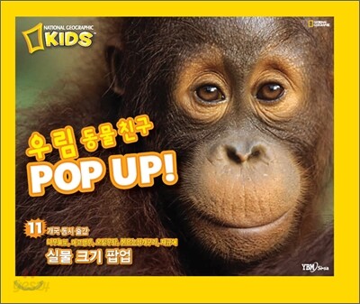 우림 동물 친구 POP UP!