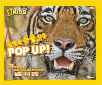 세계의 동물 친구 POP UP!