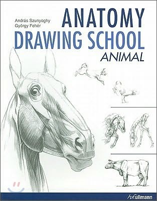 Anatomy Drawing School: Animal