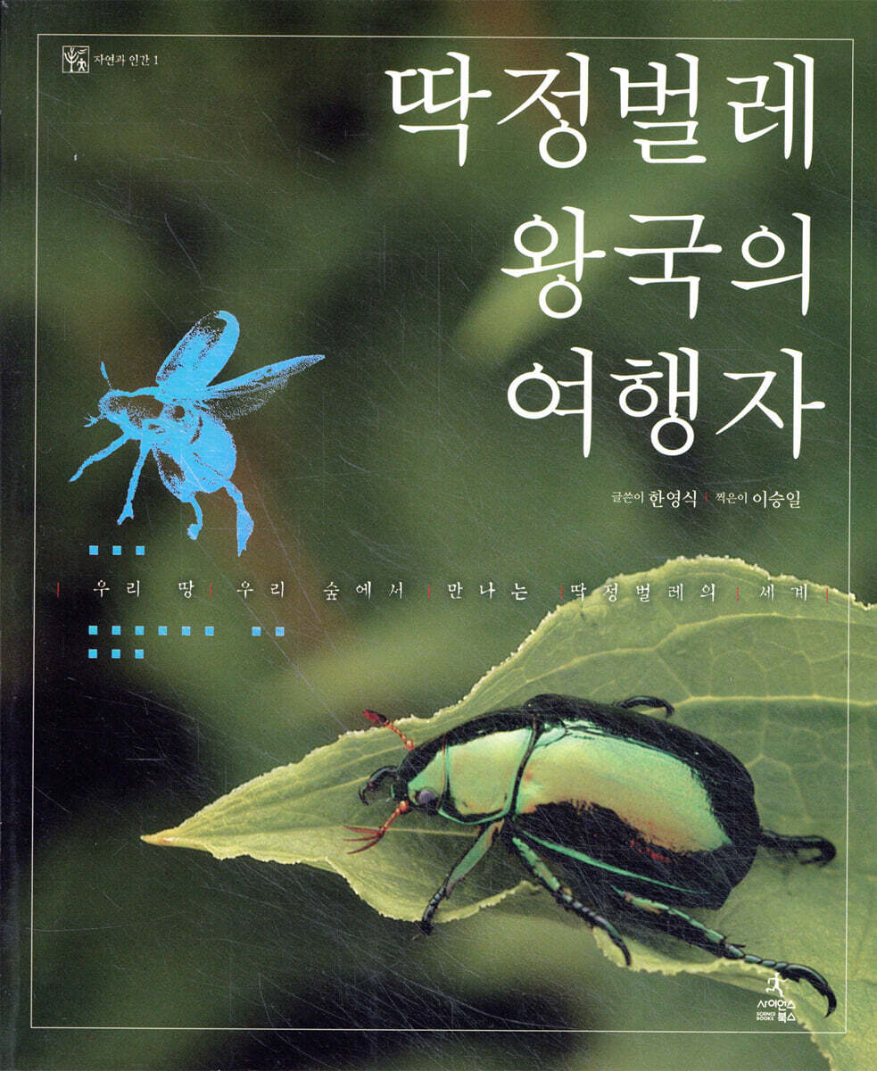 딱정벌레 왕국의 여행자