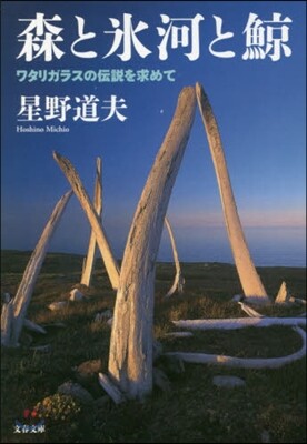 森と氷河と鯨