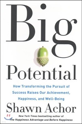 Big Potential: How Transforming the Pursuit of Success Raises Our Achievement, Happiness, and Well-Being