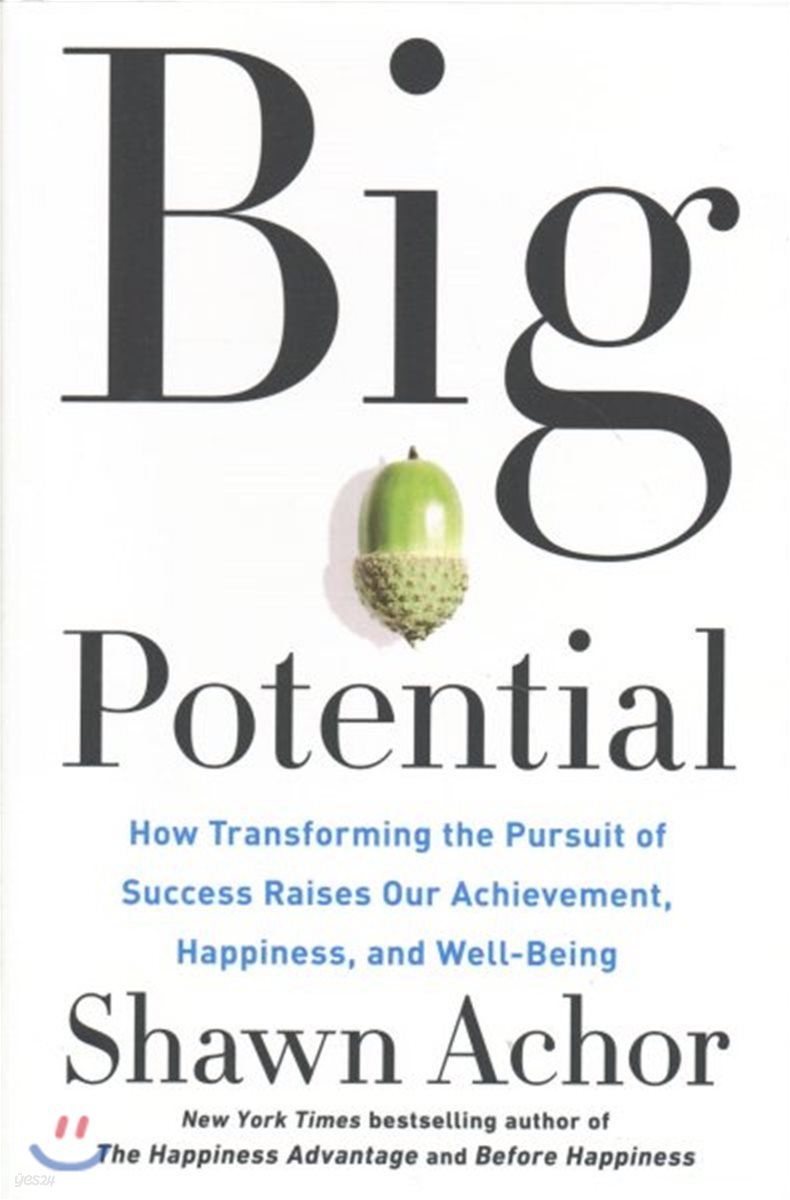 Big Potential: How Transforming the Pursuit of Success Raises Our Achievement, Happiness, and Well-Being