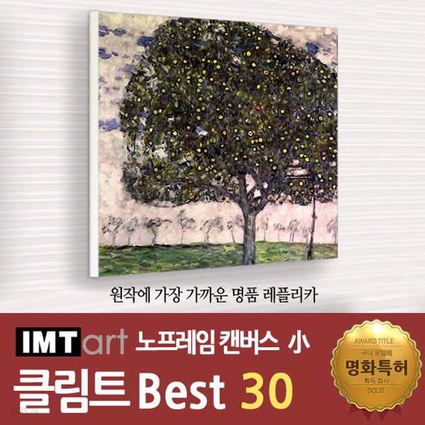 I.M.T art 노프레임 캔버스 명화 (소) - 클림트 명화 Best 30