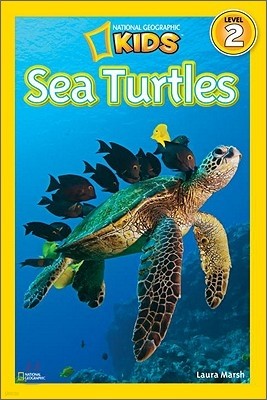 Sea Turtles