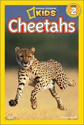National Geographic Kids Readers Level 2 : Cheetahs