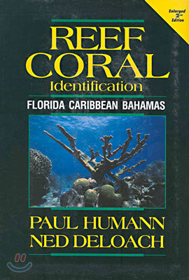 Reef Coral Identification