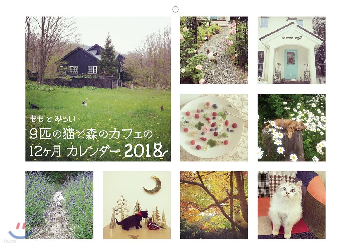 もも と みらい 9匹の猫と森のカフェの12ヶ月 カレンダ-2018