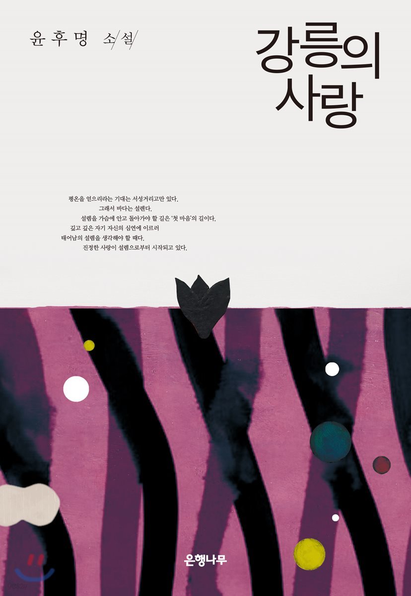 강릉의 사랑
