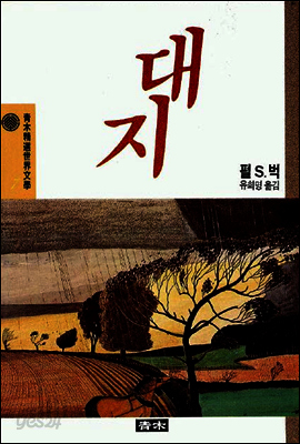 대지