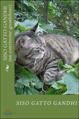 Siso gatto Gandhi: Un convivente gronfolone