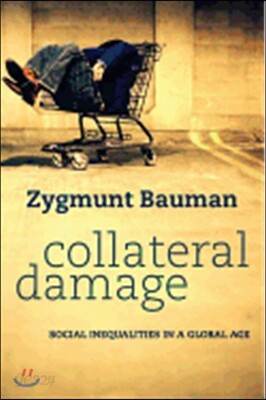 Collateral Damage: Social Inequalities in a Global Age