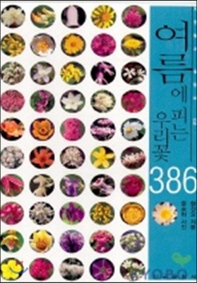 여름에 피는 우리꽃 386