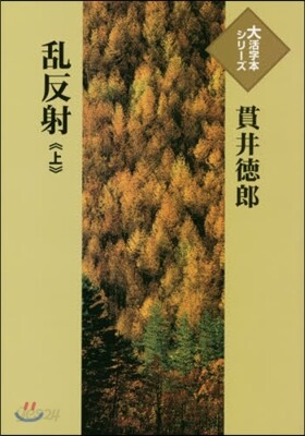 亂反射(上)