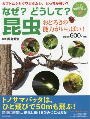 なぜ?どうして?昆蟲