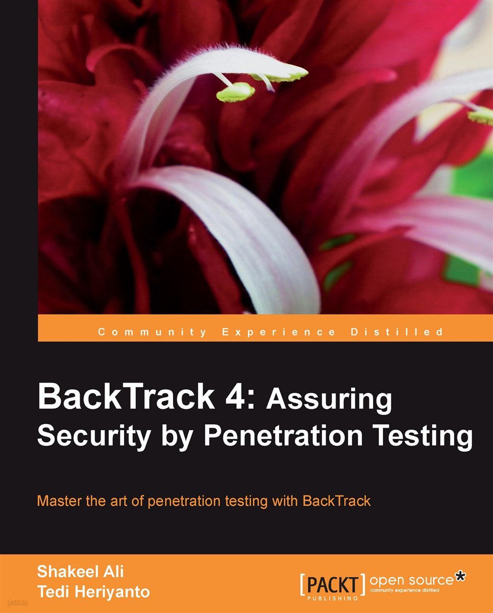 Backtrack 4: Assuring Security by Penetration Testing