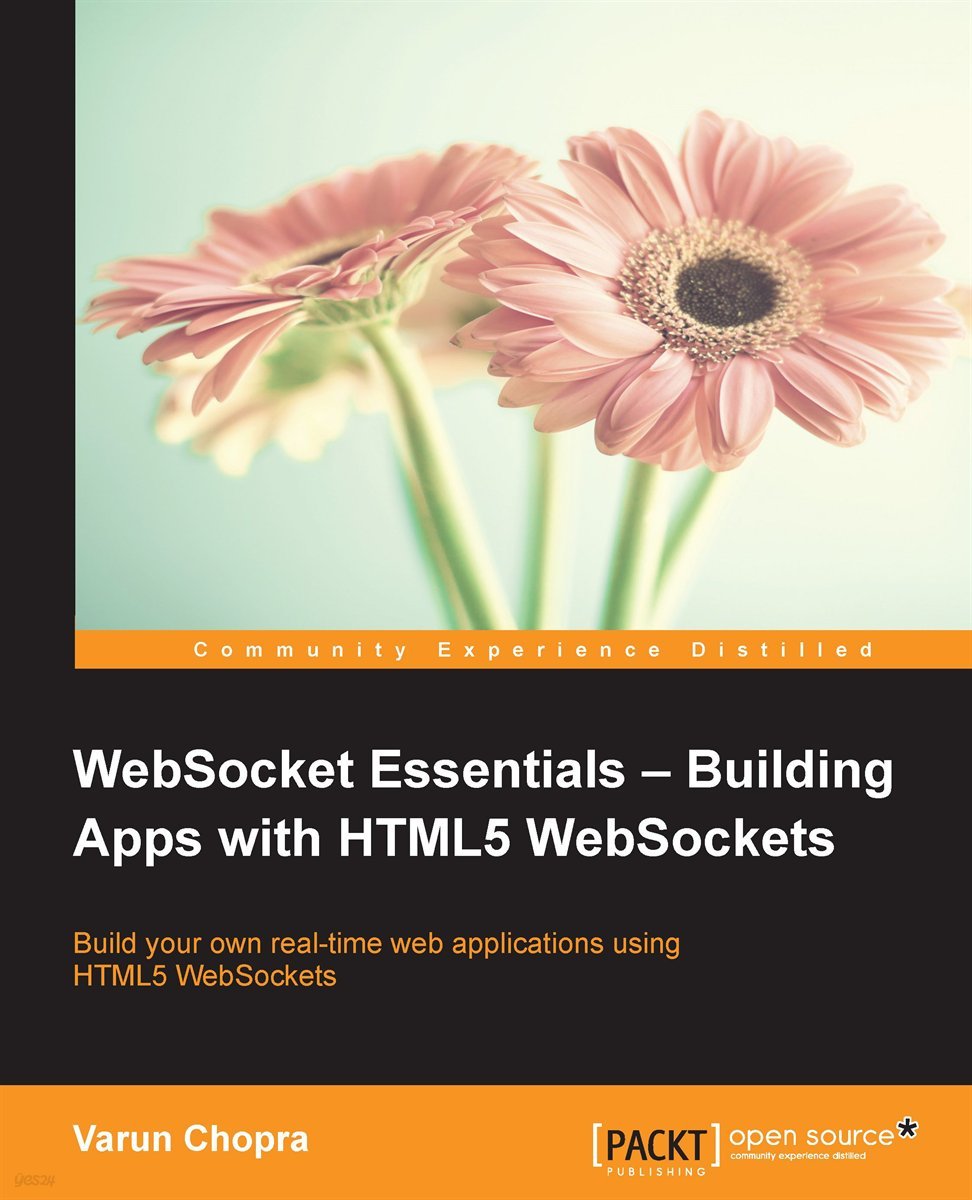 WebSocket Essentials ? Building Apps with HTML5 WebSockets