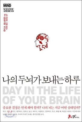 나의 두뇌가 보내는 하루
