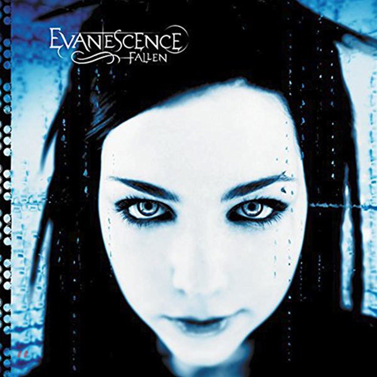 Evanescence (에반에센스) - Fallen [LP] 