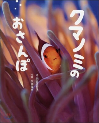 クマノミのおさんぽ