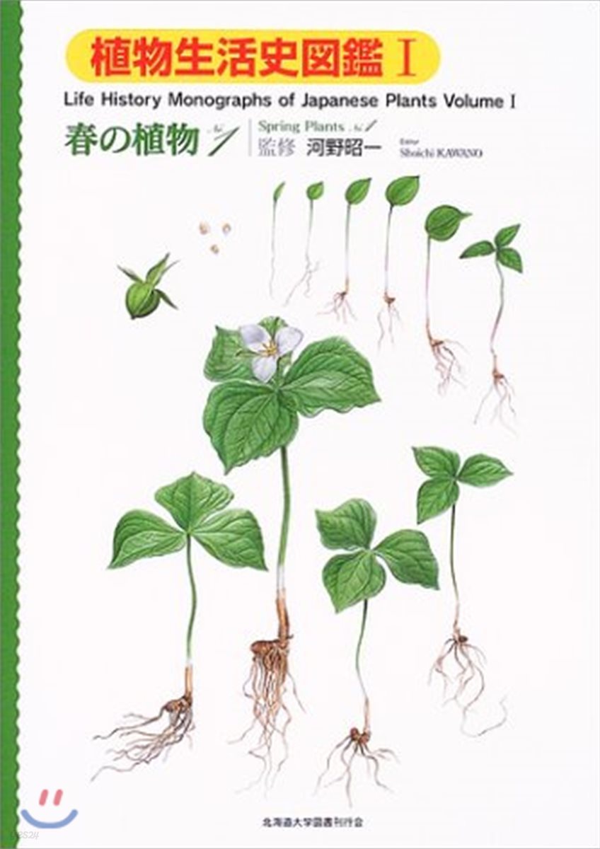 植物生活史圖鑑(1)春の植物 No.1