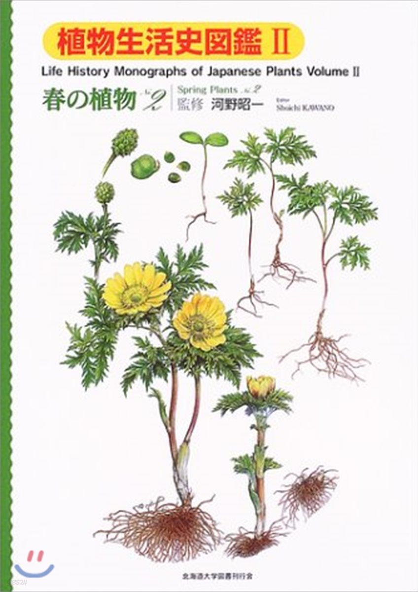 植物生活史圖鑑(2)春の植物 No.2