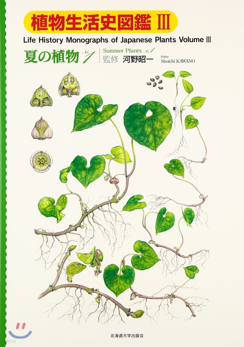 植物生活史圖鑑(3)夏の植物 No.1