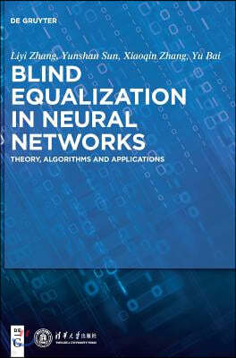 Blind Equalization in Neural Networks: Theory, Algorithms and Applications