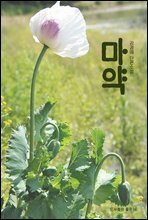 마약