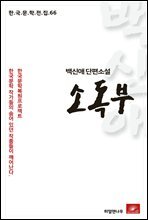 백신애 단편소설 소독부 - 한국문학전집 66