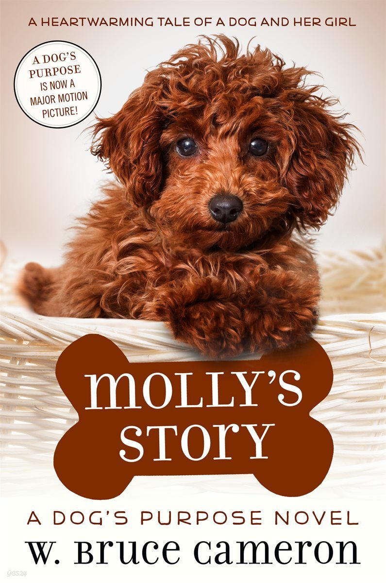 Molly&#39;s Story