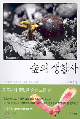 숲의 생활사