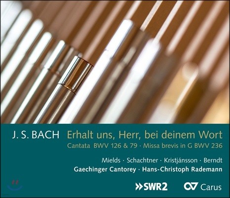 Hans-Christoph Rademann 바흐: 칸타타, 미사 브레비스 - 한스-크리스토프 라데만 (Erhalt Uns, Herr, bei Deinem Wort - J.S. Bach: Cantatas BWV126 & 79, Missa Brevis BWV236)