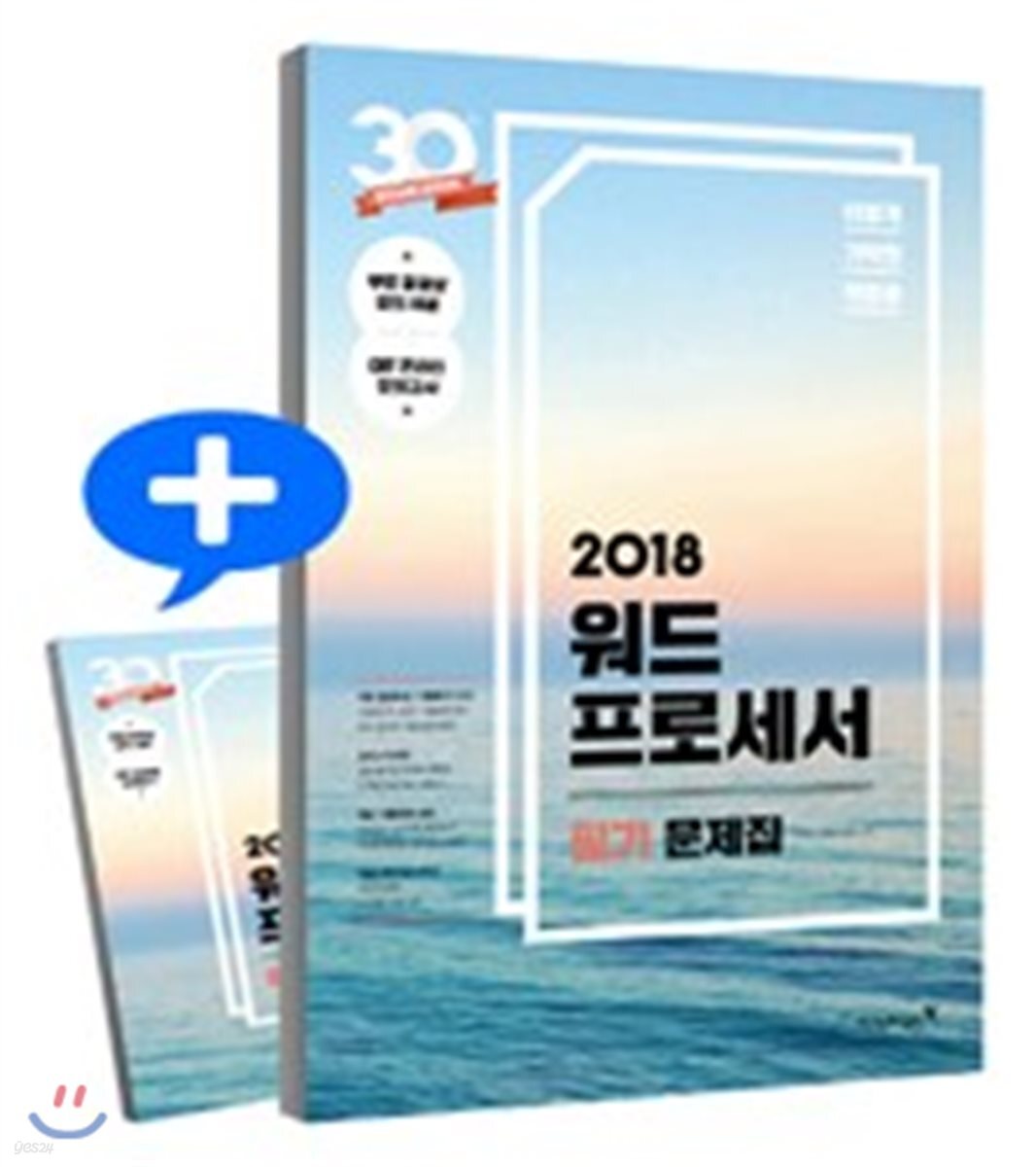 2018 이기적 in 워드프로세서 필기 문제집